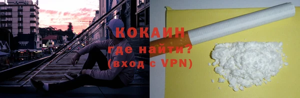 соль ск Алексин