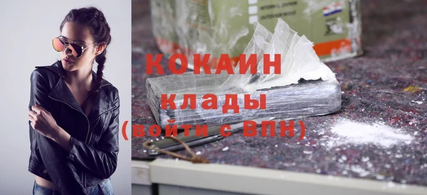 соль ск Алексин